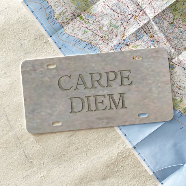 Carpe Diem Stone plastic car license plate (In Situ)