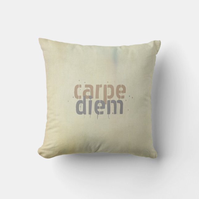 carpe diem throw pillow shabby chic decor (Front)