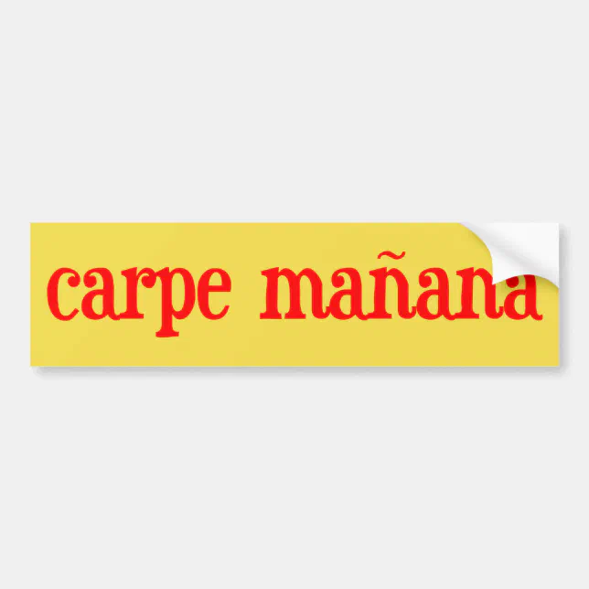 Carpe Manana Bumper Sticker Zazzle