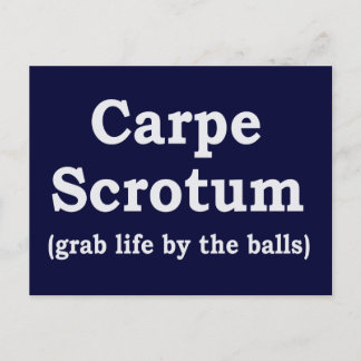 Carpe Scrotum Postcard