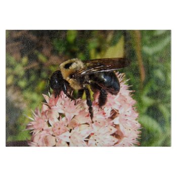 Carpenter Bee ~ Cutting Board by Andy2302 at Zazzle