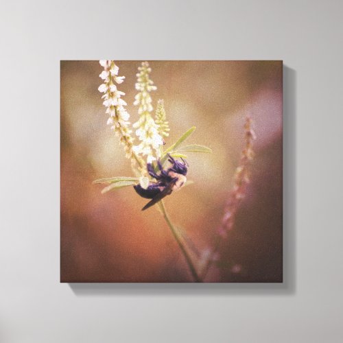 Carpenter Bee on White Flower Insect Nature Photo Canvas Print
