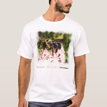 Carpenter Bee ~ T T-shirt by Andy2302 at Zazzle