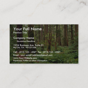 Carpet of sword ferns among old timber business card
