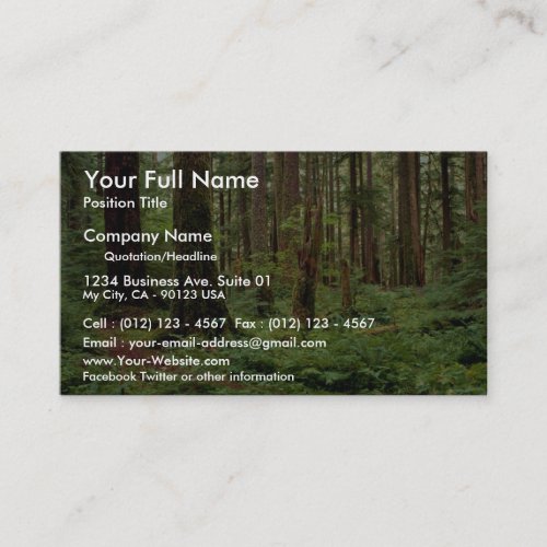 Carpet of sword ferns among old timber business card