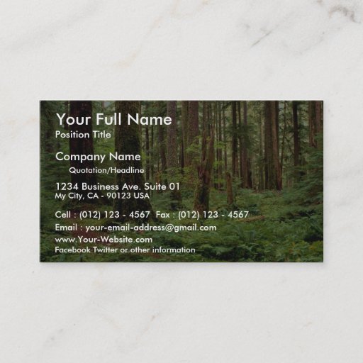 Customizable Carpet of sword ferns among old timber business cards