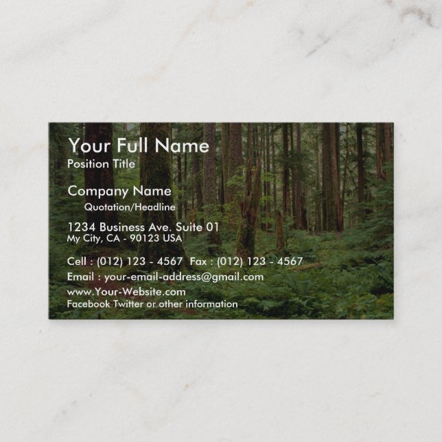 Carpet of sword ferns among old timber business card (Front)