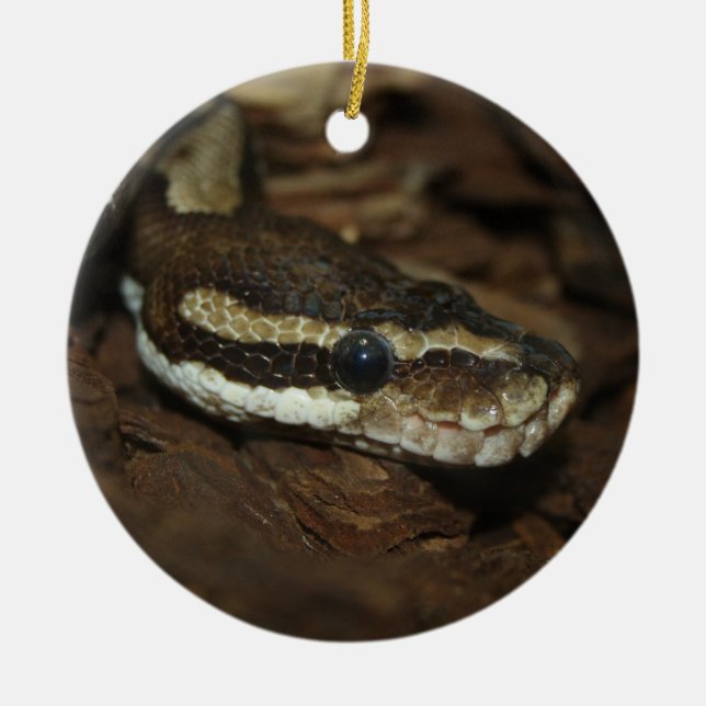 Carpet python ceramic ornament (Front)