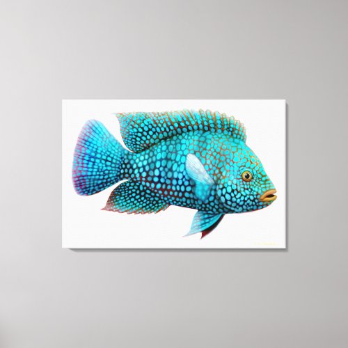 Carpintis Texas Cichlid Fish Wrapped Canvas