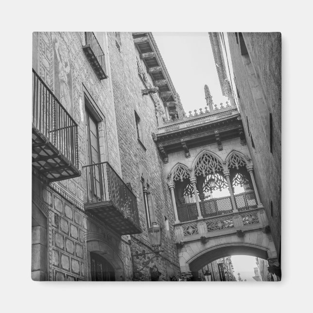 Carrer del Bisbe Magnet: Barcelona Magnet (Front)