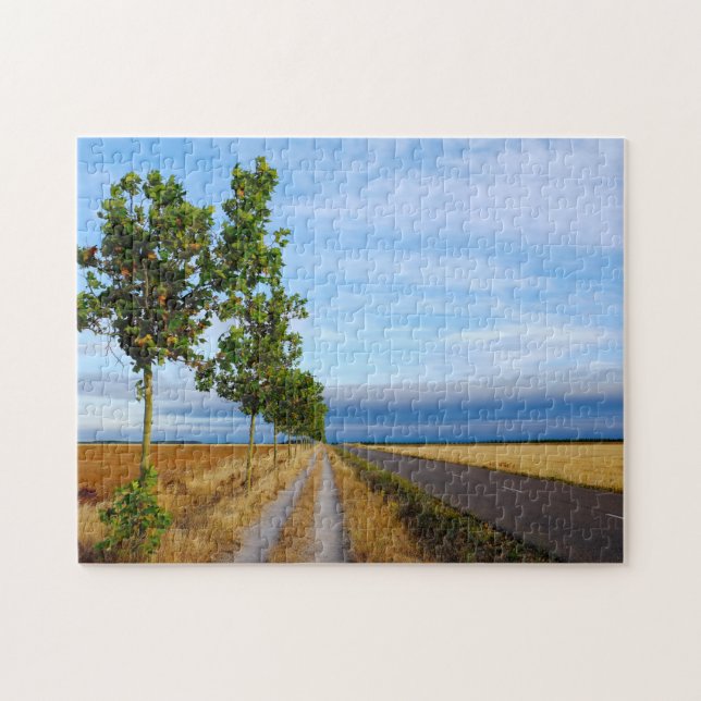 Carretera Hacia Reliegos Jigsaw Puzzle (Horizontal)
