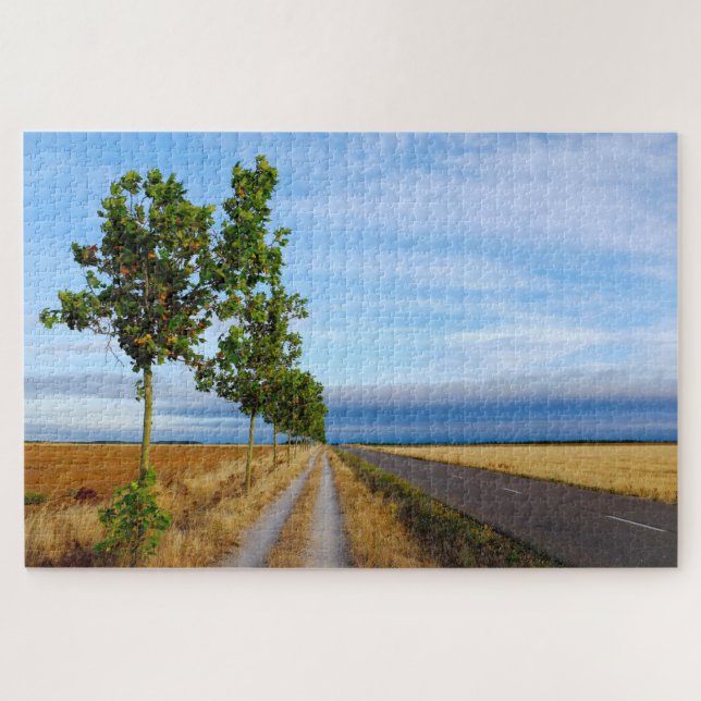 Carretera Hacia Reliegos Jigsaw Puzzle (Horizontal)