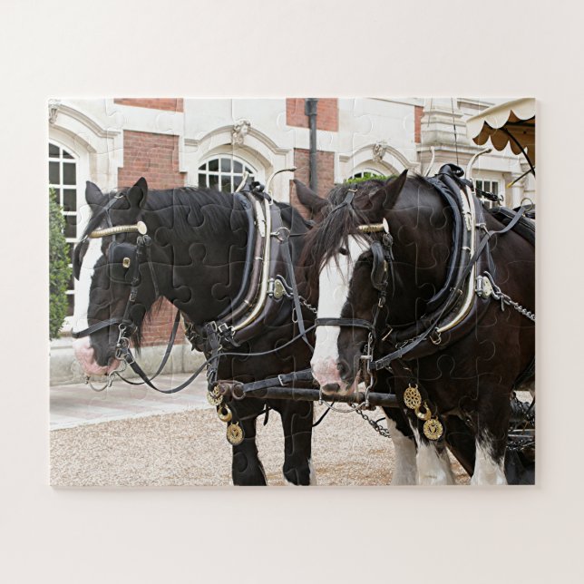 Carriage draught  horses jigsaw puzzle (Horizontal)