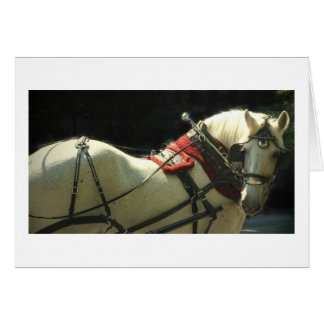 Carriage Horse Cards