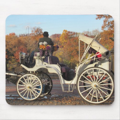 Carriage in Central Park on a Fall Day Mouse Pad