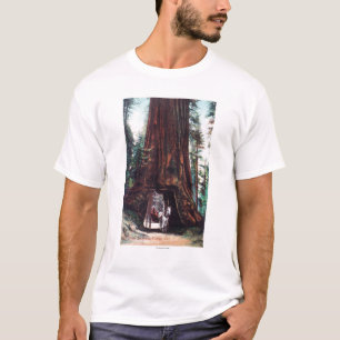 Carriage Travelling Under a Giant Redwood T-Shirt