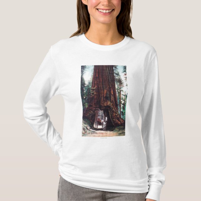 Carriage Travelling Under a Giant Redwood T-Shirt (Front)