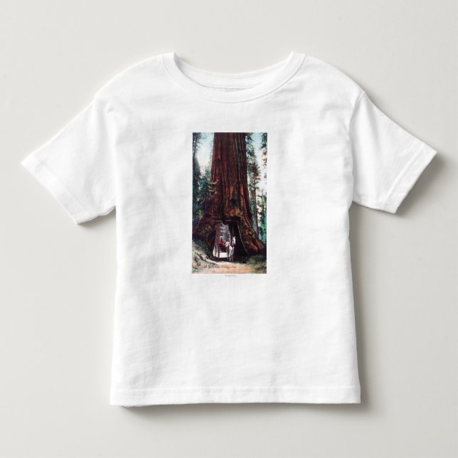 Carriage Travelling Under a Giant Redwood Toddler T-shirt (Front)