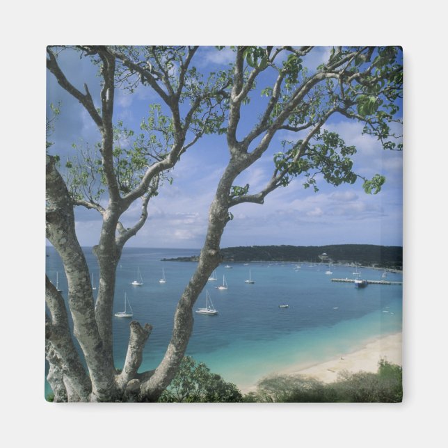 Carribean, Anguilla Island, Road Bay Harbour. Magnet (Front)