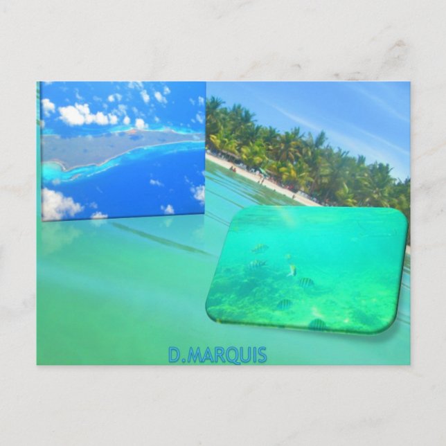 CARRIBEAN SEA  POSTCARD (Front)