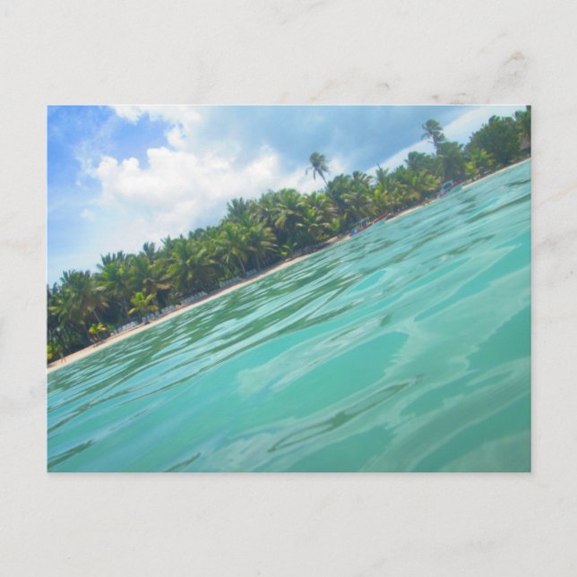 CARRIBEAN SEA POSTCARD 16 (Front)