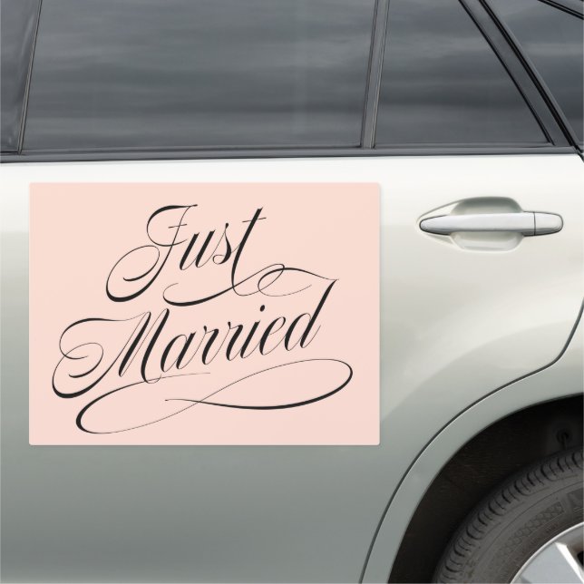 Carried Away Just Married Sign (In Situ)