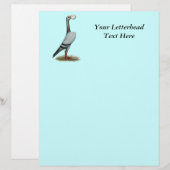 Carrier Pigeon 2012 (Front/Back)