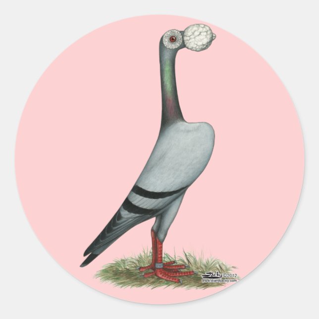 Carrier Pigeon 2012 Classic Round Sticker (Front)