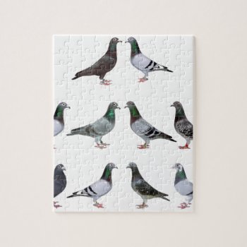 Carrier Pigeons Champions Jigsaw Puzzle by naturanoe at Zazzle