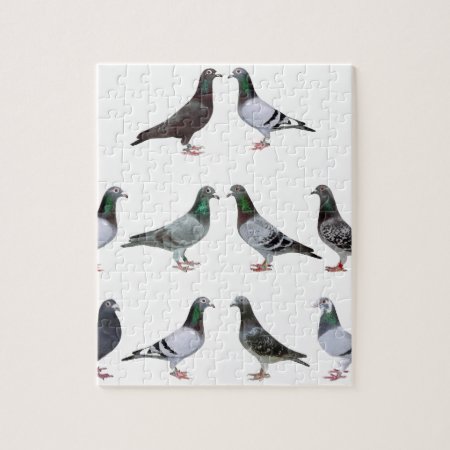 Carrier Pigeons Champions Jigsaw Puzzle