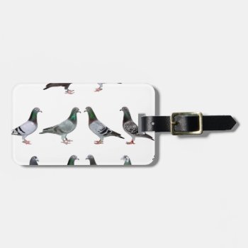 Carrier Pigeons Champions Luggage Tag by naturanoe at Zazzle