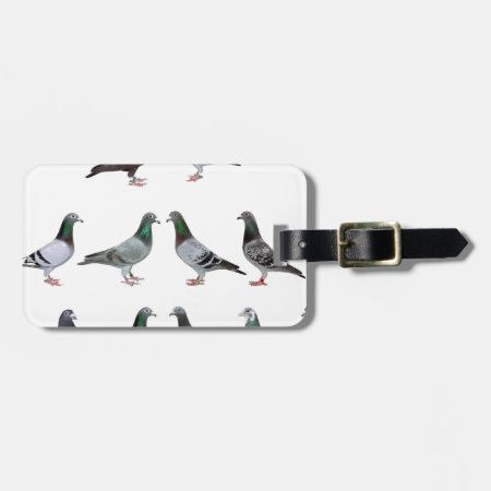 Carrier Pigeons Champions Luggage Tag