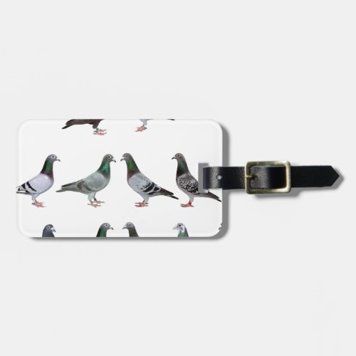 Carrier pigeons champions luggage tag