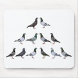 Carrier Pigeons Champions Mouse Pad at Zazzle