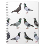 Carrier Pigeons Champions Notebook at Zazzle