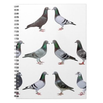 Carrier Pigeons Champions Notebook by naturanoe at Zazzle
