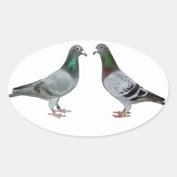 Carrier Pigeons Champions Oval Sticker by naturanoe at Zazzle