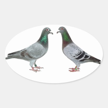 Carrier Pigeons Champions Oval Sticker