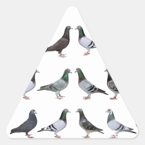 Carrier pigeons champions triangle sticker