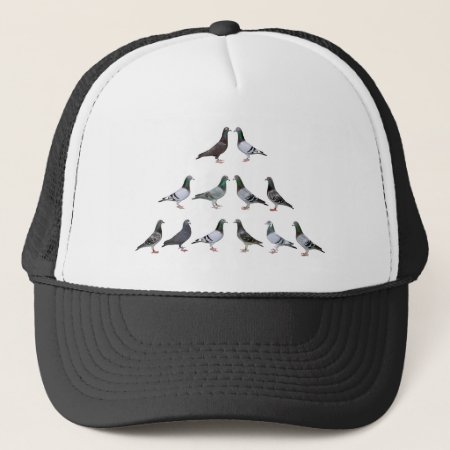 Carrier Pigeons Champions Trucker Hat