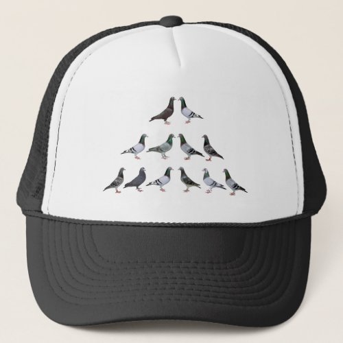 Carrier pigeons champions trucker hat