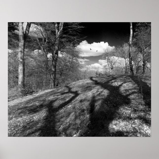 Carrion. Poster (Front)