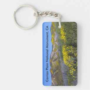 Carrizo Plain National Monument, California Keychain