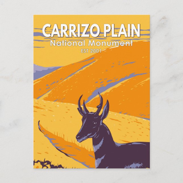 Carrizo Plain National Monument California Vintage Postcard (Front)