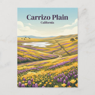 Carrizo Plain National Monument USA Postcard