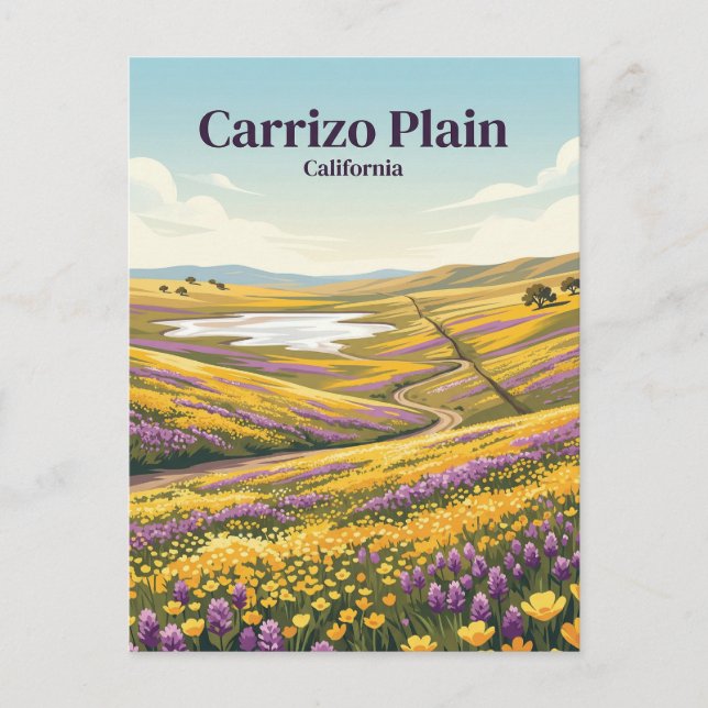 Carrizo Plain National Monument USA Postcard (Front)