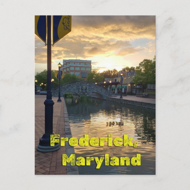 Carroll Creek Frederick Maryland #3 Postcard (Front)