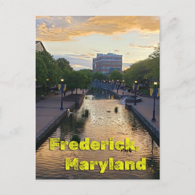 Carroll Creek Frederick Maryland #5 Postcard (Front)