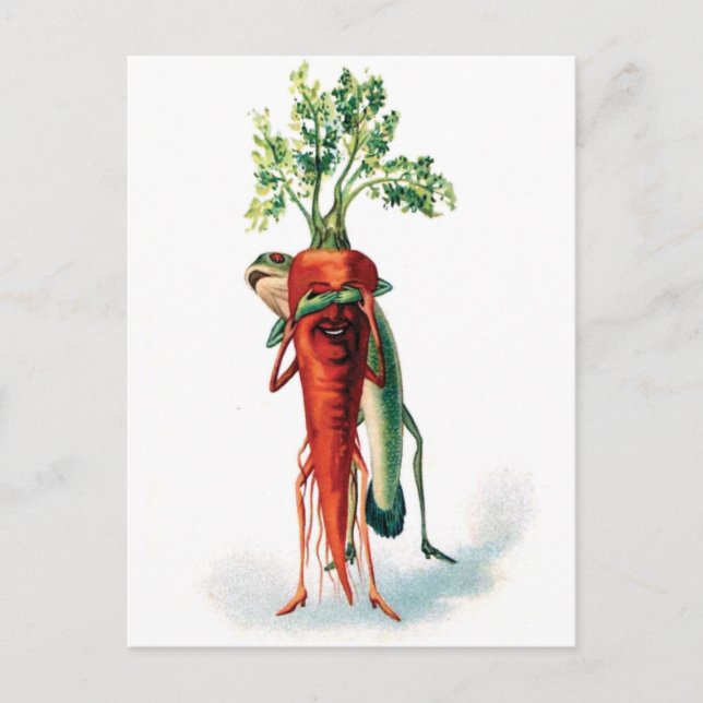 Carrot and Frog Funny Valentine Postcard (Front)
