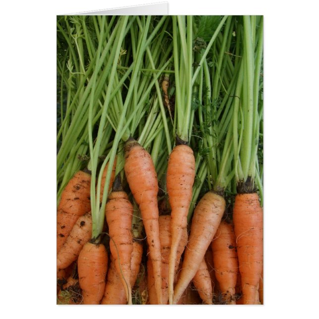Carrot Card (Front)